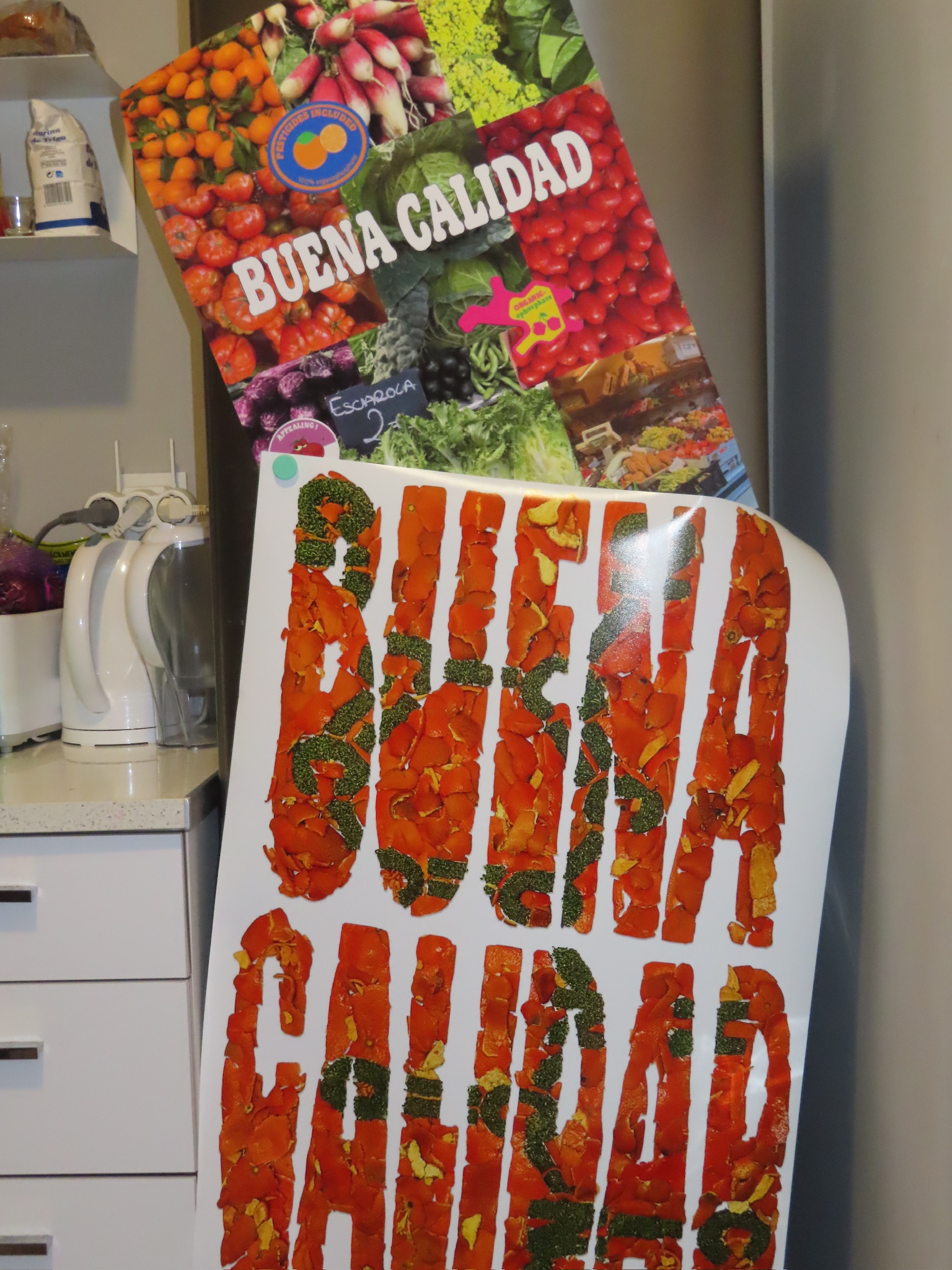 Posters hanging on a fridge